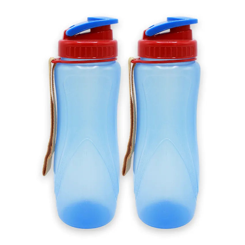 SPRING WATER BOTTLE 2 PC SET - M 850ML