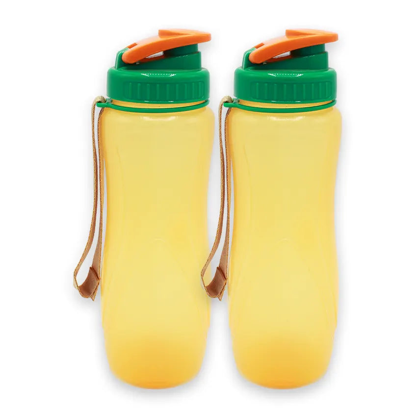 SPRING WATER BOTTLE 2 PC SET - S 650ML