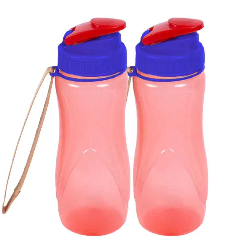 SPRING WATER BOTTLE 2 PC SET - M 850ML